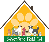 Göktürk Pati Evi