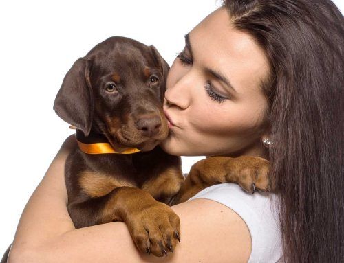 Köpeğinizle İlk Günler